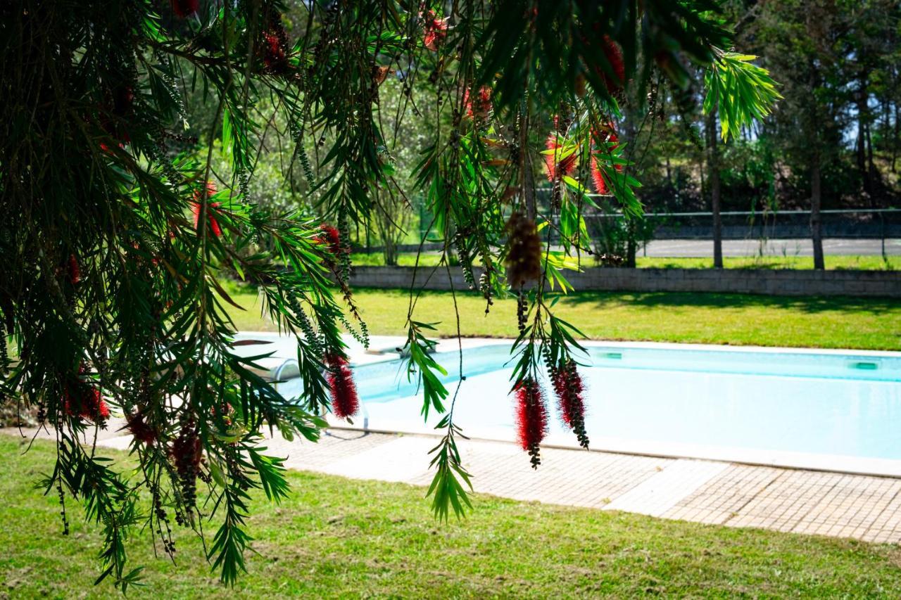 Hotel Rural Quinta Do Juncal Serra d'El-Rei Zewnętrze zdjęcie